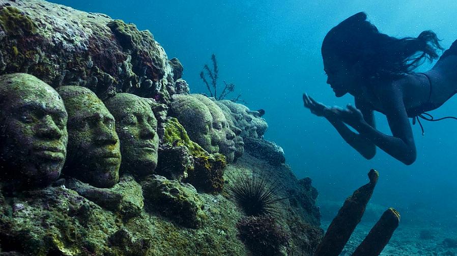 O mergulho com snorkel pode ser uma das melhores atividades para você