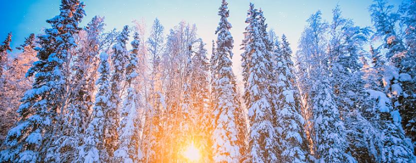 Você pode usar a jaqueta de lã polar como outra camada antes de vestir uma jaqueta de inverno de qualidade