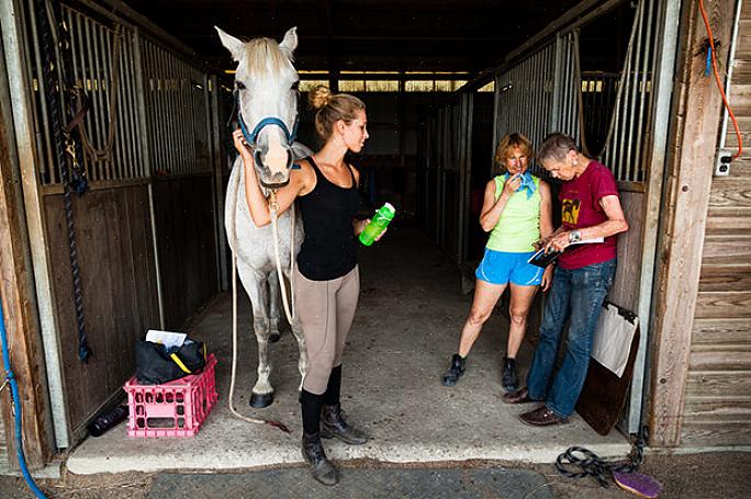Existem muitos entusiastas do cavalo por aí que procuram instalações para hospedagem de cavalos