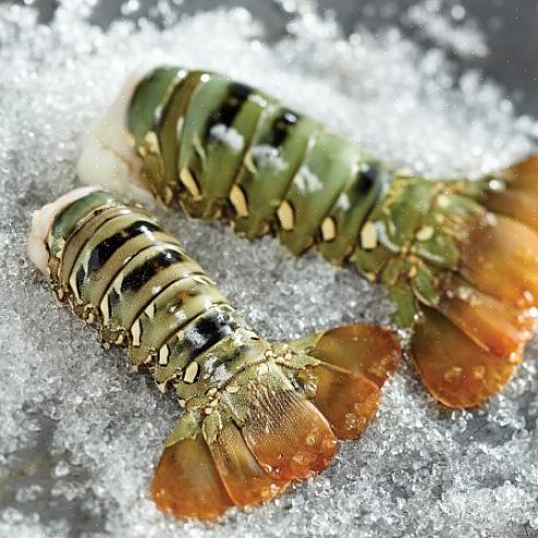 Caudas de lagosta