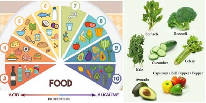 Se você é um fã de alimentos de estilo asiático