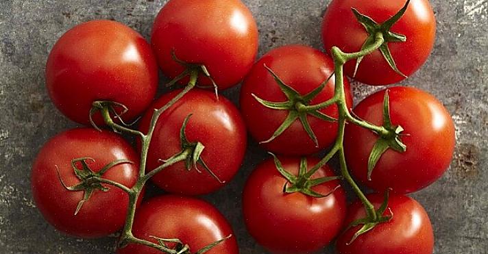 Você precisa furar cada tomate algumas vezes enquanto remove a casca com cuidado
