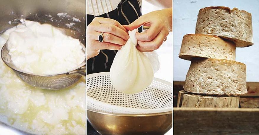 Leite de cabra também são bons para fazer queijo