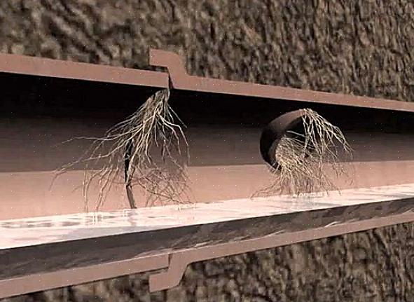 Uma maneira de tratar as raízes das árvores em suas linhas de esgoto é liberando cristais de sulfato