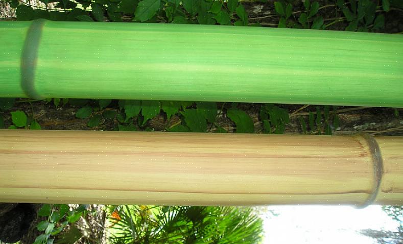 Imitando as juntas de bambu