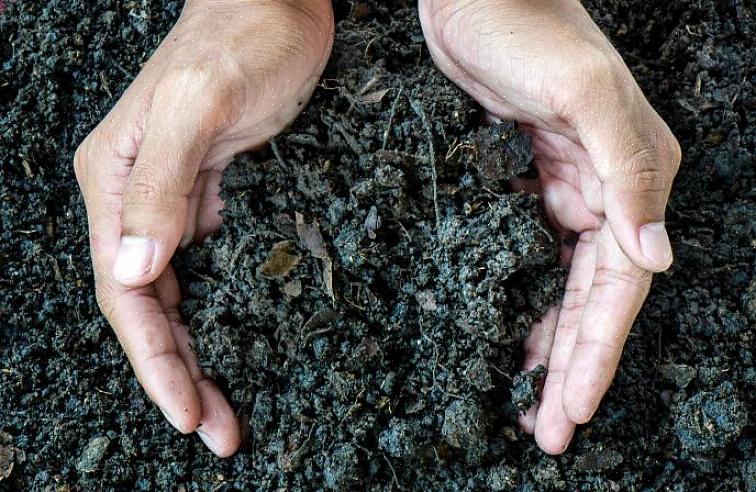 Veja as 10 maneiras a seguir de conservar o solo