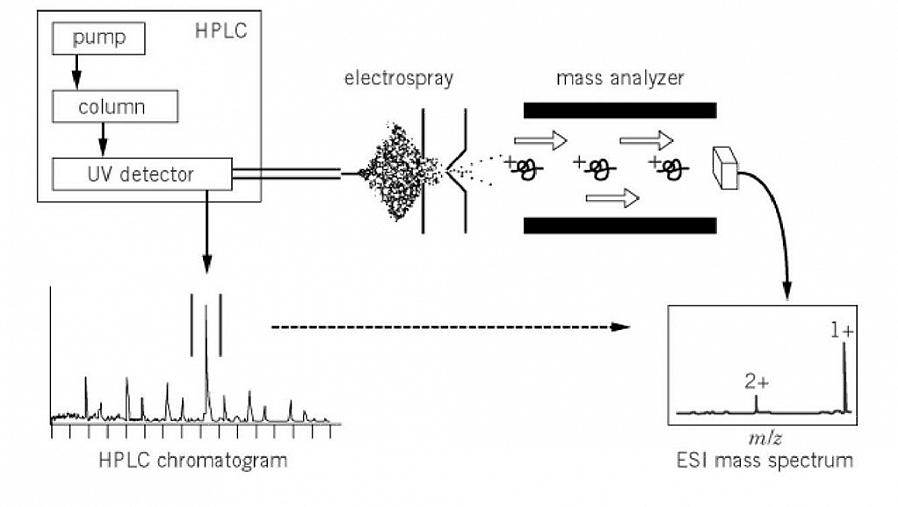 A espectrometria de massa é usada para identificar compostos desconhecidos