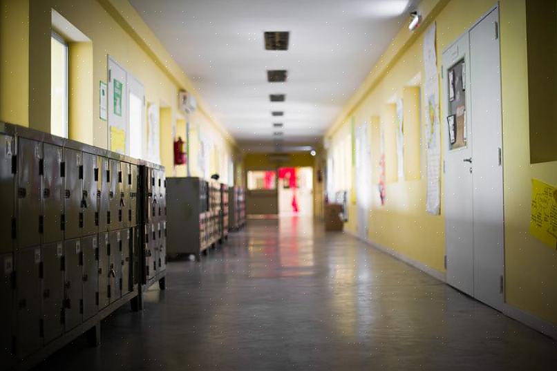 Diretores de pré-escola já ocuparam cargos de ensino antes de ganhar um cargo administrativo