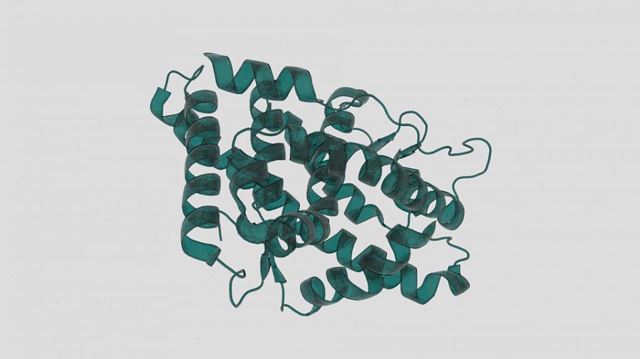 A estrutura primária refere-se à sequência da proteína ou número linear