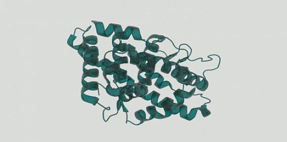 Os níveis de estrutura das proteínas são estruturas primárias