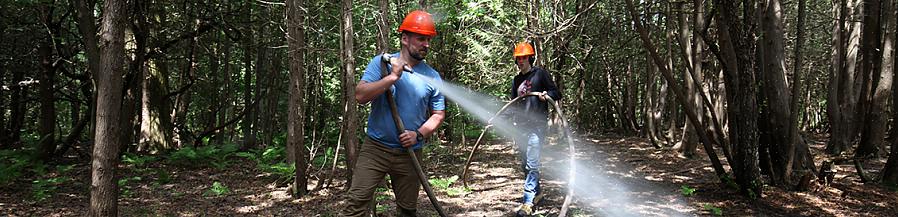 Onde pode acompanhar um técnico florestal