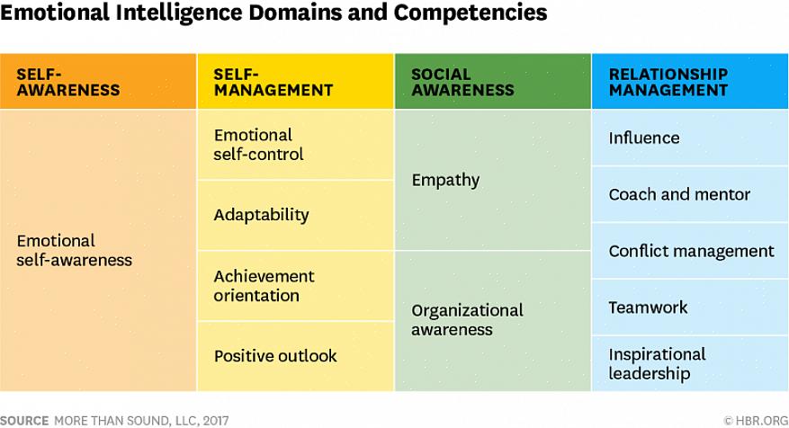 O desenvolvimento emocional pode ser alcançado fornecendo um livro de competência emocional para os gerentes