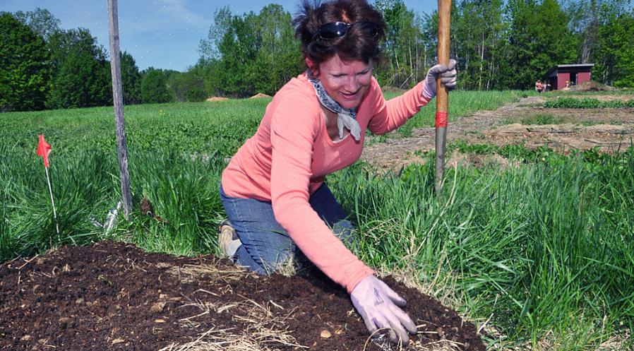 Tornar-se fazendeiro significa cultivar a terra