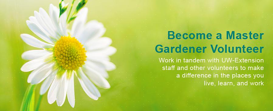 Os futuros jardineiros mestres devem considerar trabalhar com um jardineiro mestre experiente