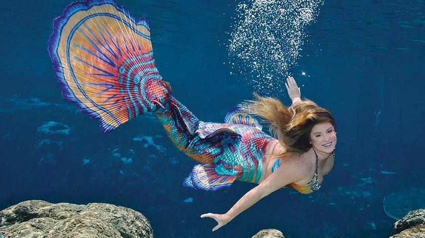 Weeki Wachee Springs treina mulheres durante meses para se tornarem sereias