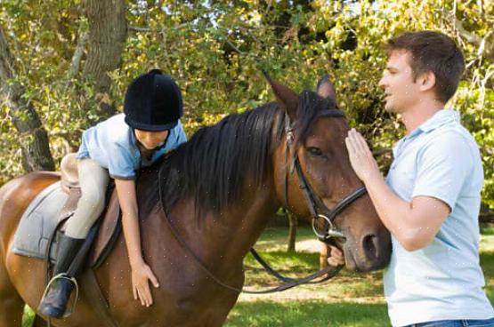 Os instrutores de equitação ensinam lições elementares ou básicas de equitação