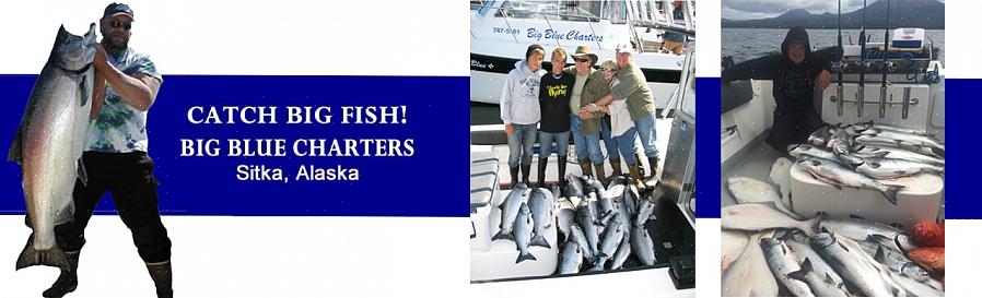 Você pode visitar sites de várias empresas de pesca do Alasca