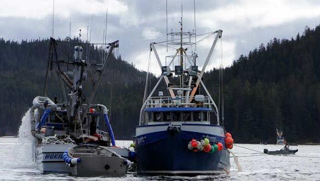 Os lugares no Alasca onde você teria as melhores chances de conseguir empregos na pesca do caranguejo