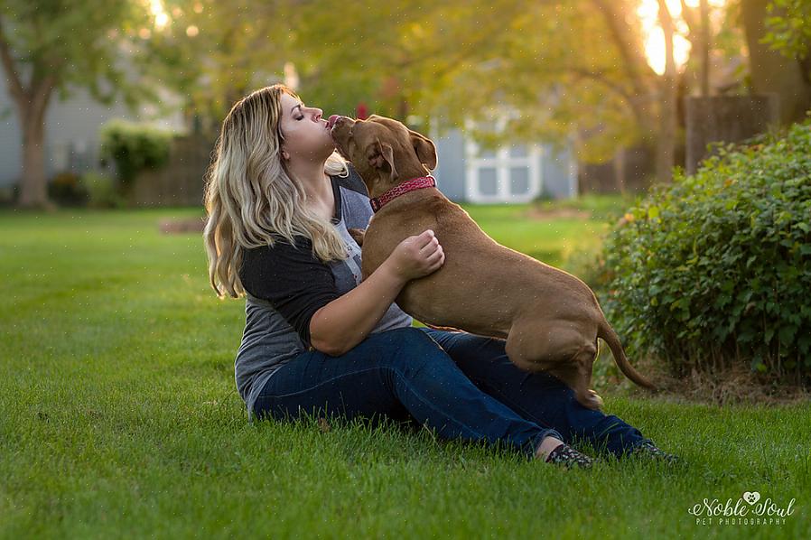 Nunca será um bom fotógrafo de animais de estimação