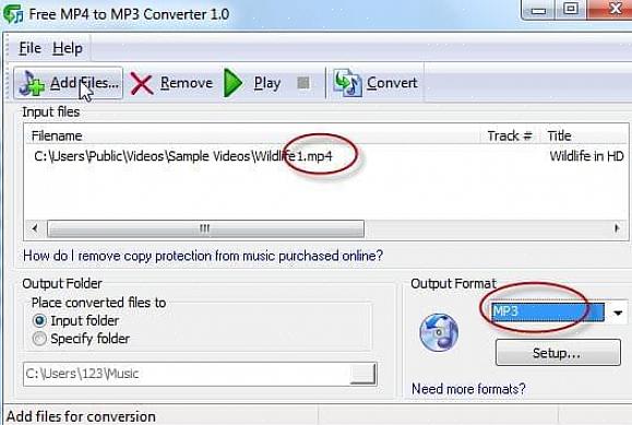 Você também pode escolher o quanto deseja compactar seu arquivo de áudio
