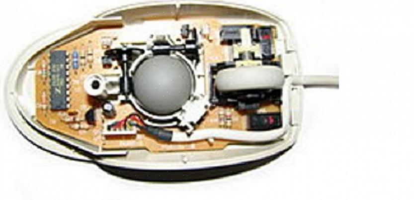 Raspe qualquer acúmulo de sujeira nos rolamentos do mouse através da janela do trackball